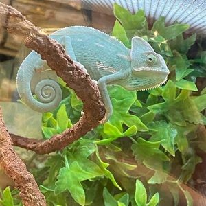 Meet your Posher, Kat